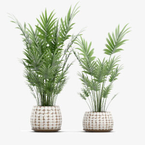 Cây trang trí deco 2